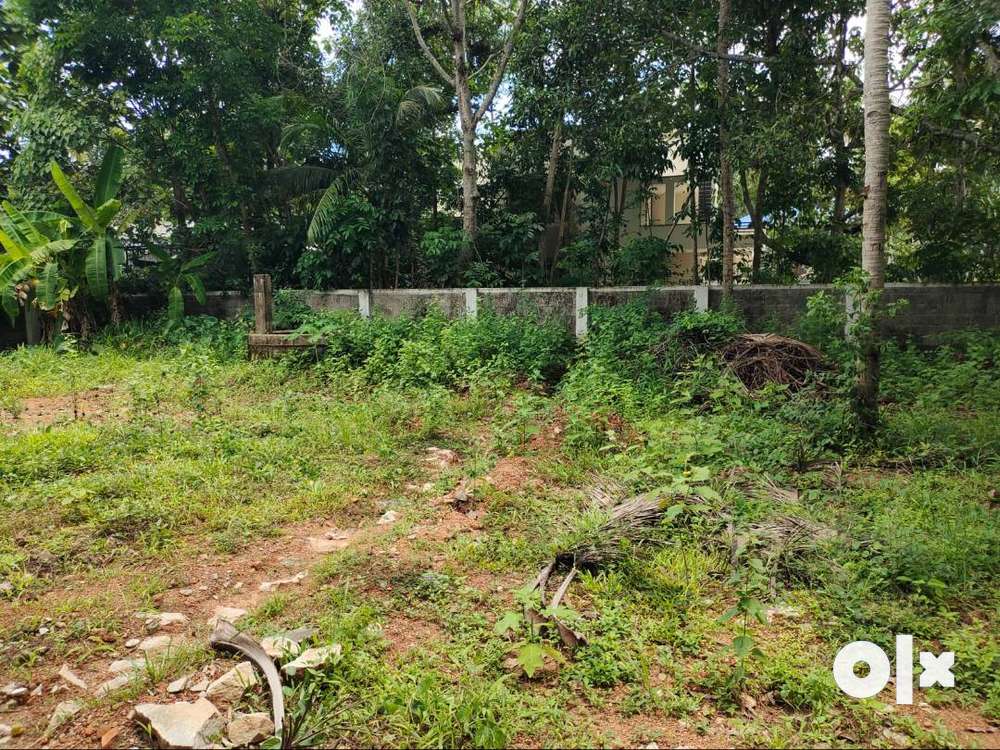 (ID-K189256) 10 Cent plottable Land For Sale At Mannanthala