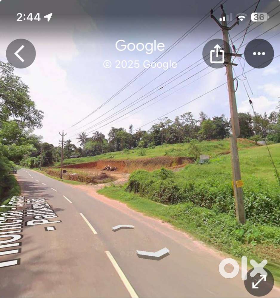 10 Cents Road Side Vacant Land for sale