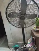 Stand Fan of Cinni