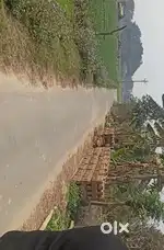 Nausad se 4 km Gurauli Bujurg me 40×72 ka plot hai