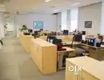 Team leader