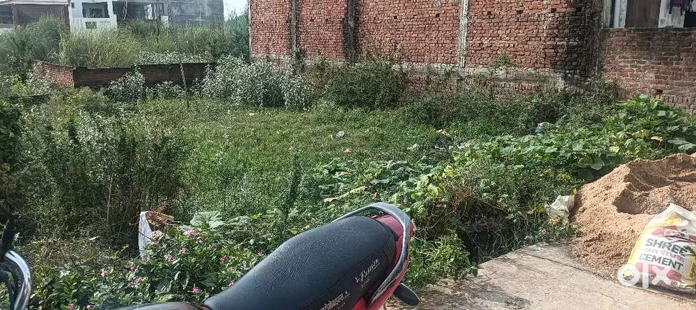 Plot at Taramandal Vivekpuram