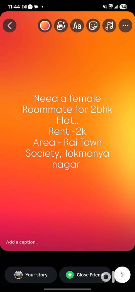 Need a female roommate