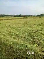 60 cents Land in near ongole pace college