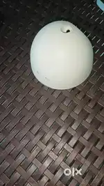 Alexa Eco pops