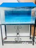 Fish aquarium with iron stand