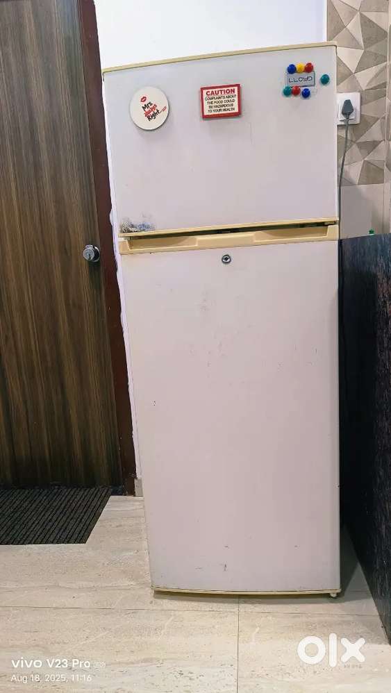 Lloyd Fridge