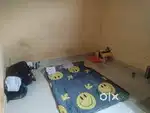 I need one room mates