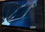 Nipex 24 inch