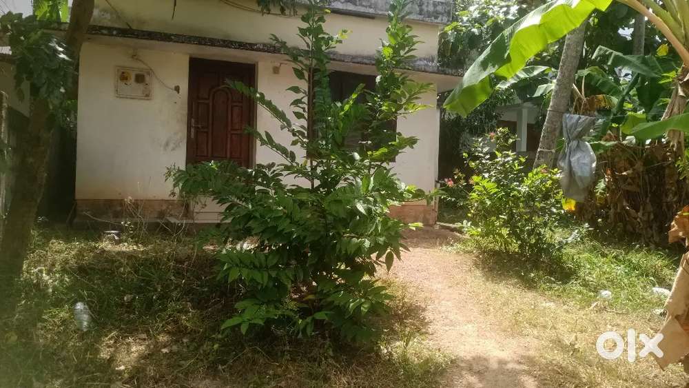 5.650  cent plot 500 mtr mc road chanthavila kazhakkuttam