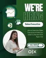 Sales/Product Executive