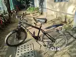 Dodge bicycle, 1 year old