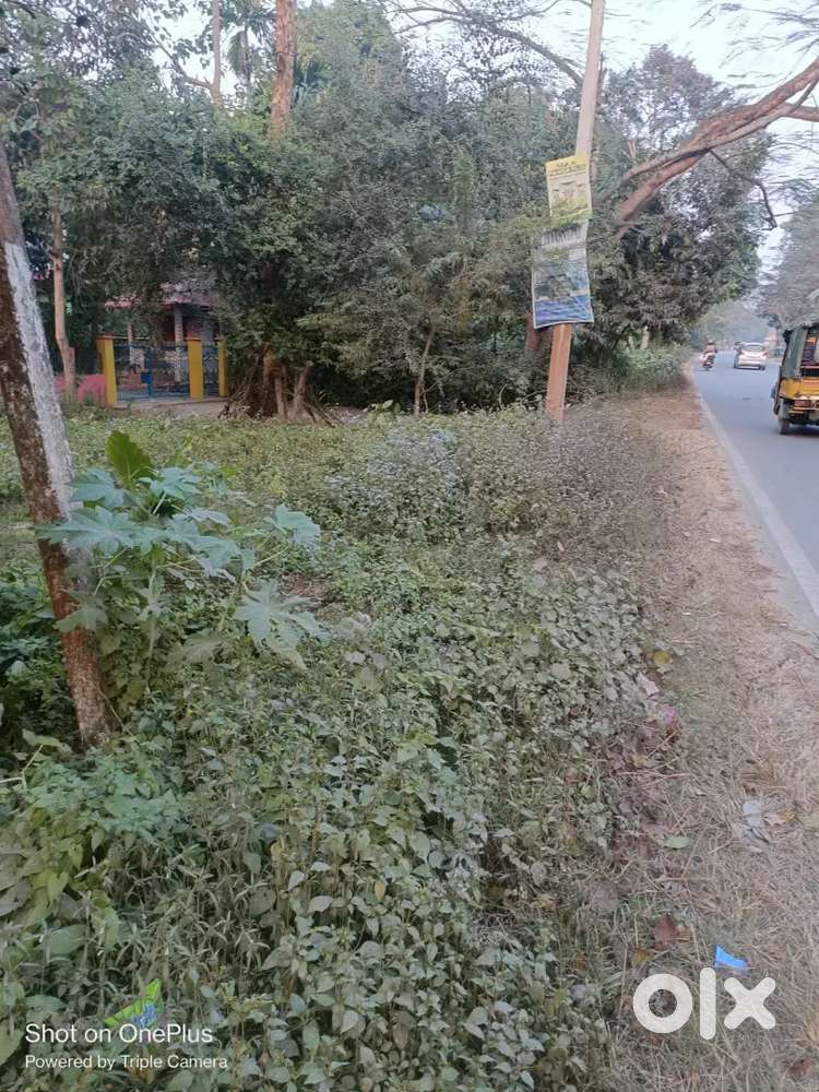 Land near Royal Awas,Bhutaigaon, Nagaon NH 37