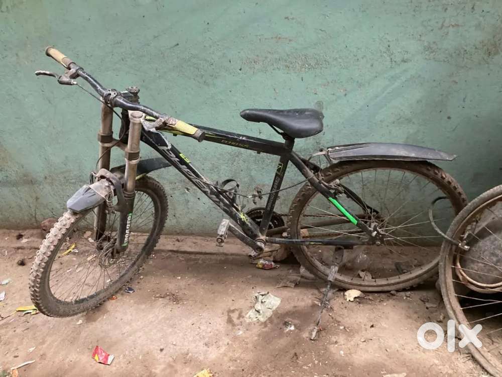 Phoenix company ki cycle