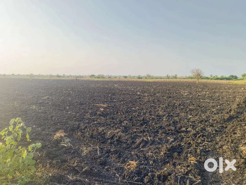 2 acre land for sale