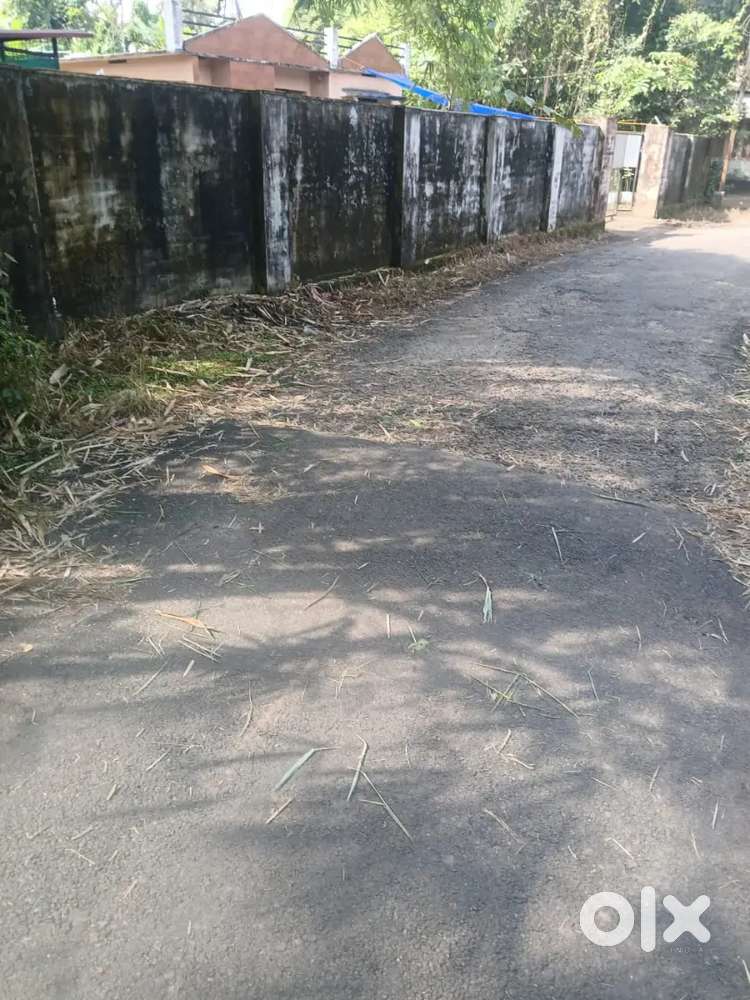 Plot with old House for sale in koonammavu Kottuvalli Ernakulam.