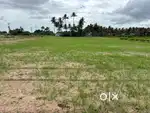 Land / Agricultural land