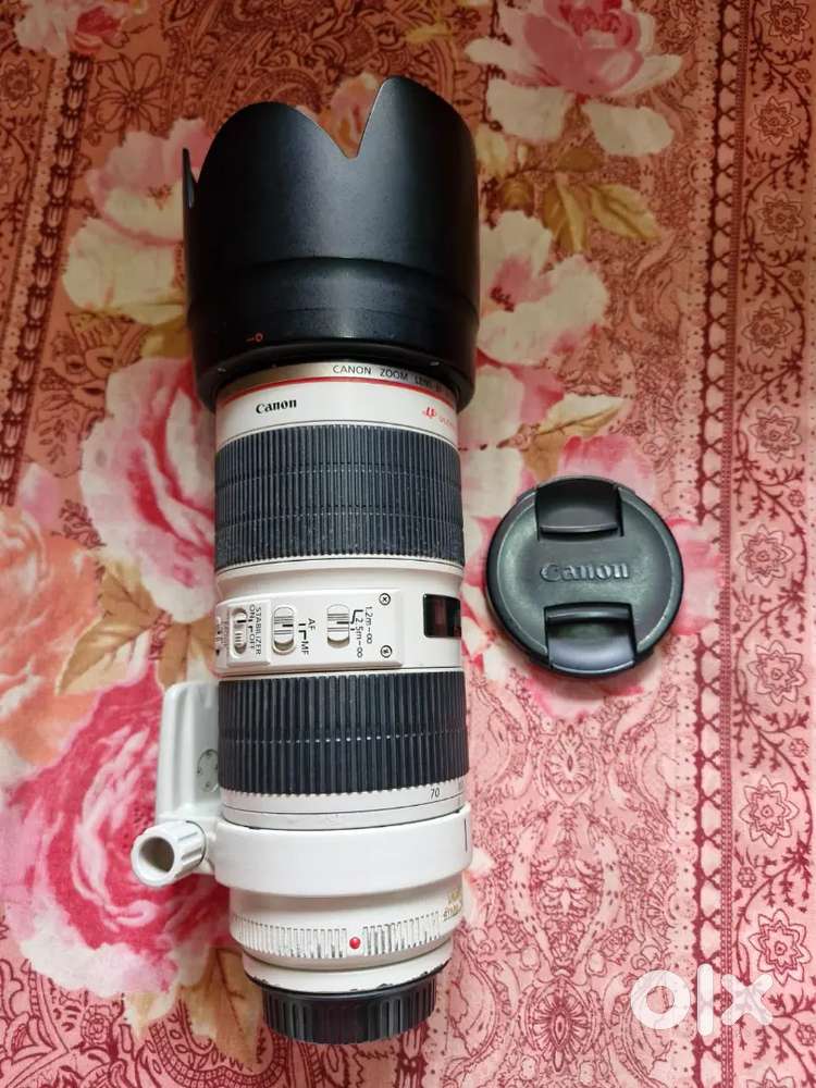 6d mark2 with 24_ 105 lens and 70-200 lens