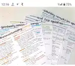 11 and 12 notes available
