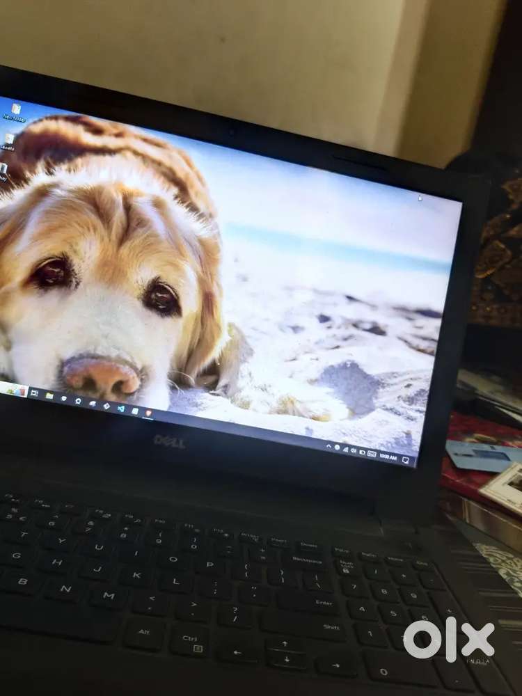 Dell 8 years old
