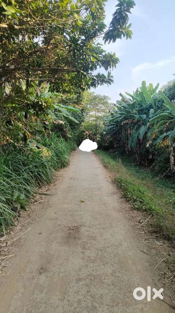 Land sale near pattnaikiya chowk