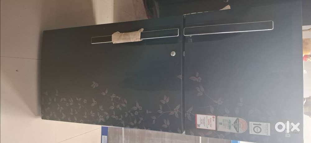 Lg double door