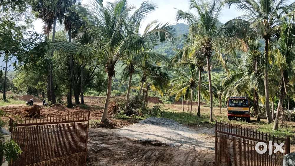 25 Cent Investment Land for Sale in Thittuvilai,2 Kms 4 James College