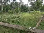 Perumbavoor vallam parapuram 10 cent house plot