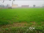 Uttar Pradesh near by petrol pump Sambhal behjoi road