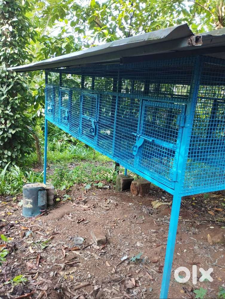Cage for rabbit and others