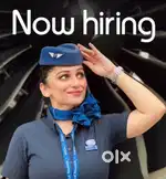 Ground Staff jobs in indigo Airlines urgent hiring