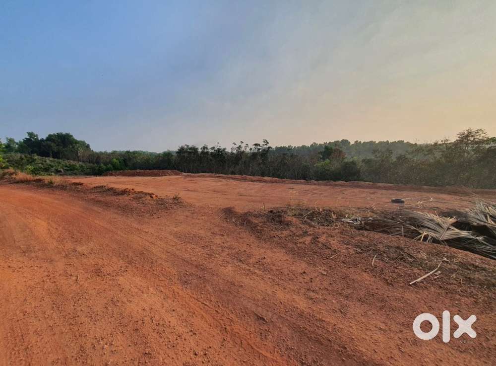 Land for sale in Bejja Hosangadi