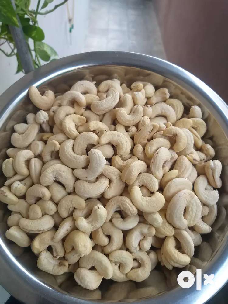 PURE RATNAGIRI CASHEW NUTS ( KAJU ).


250 GRAM @205/-