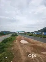 Milk plant