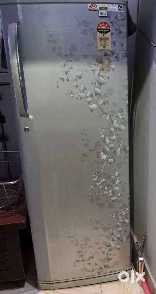 5 Star LG Refrigerator (250 litre)