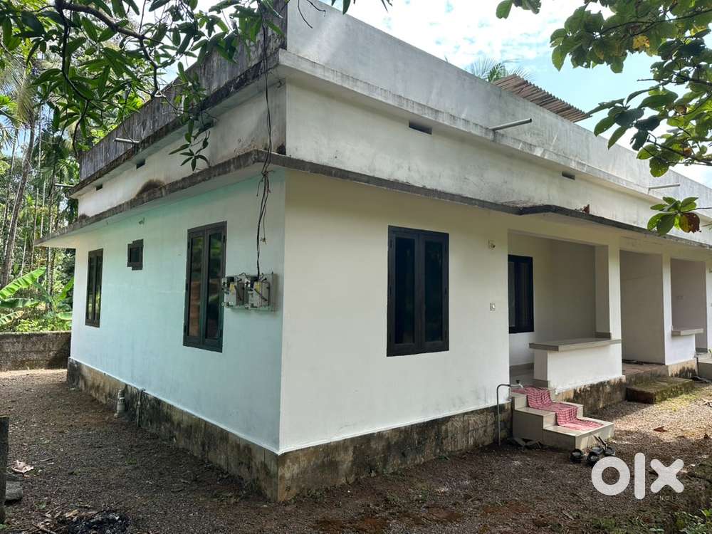 Family Courters for rent