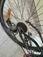 Gear bicycle
