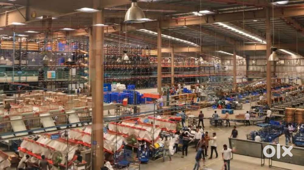 LOOKING FOR FRESHERS AND EXPERIENCED CANDIDATES IN WAREHOUSE COMPANY