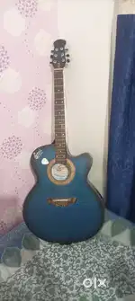 Signature guitar
