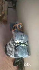 Delivery boy