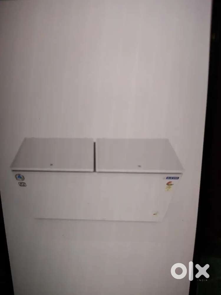 Blue star d freezer 400ltr