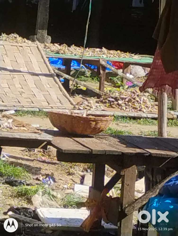 Lala college road word no 10 Town area