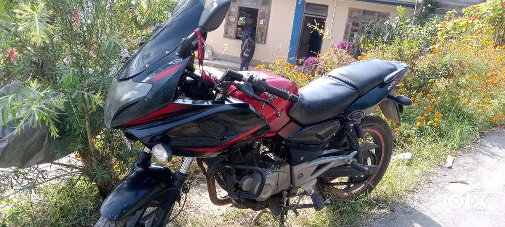 220 pulsar