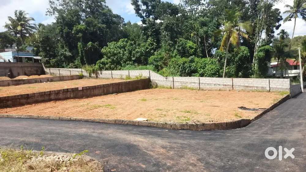 THIRUMALA PTP ELIPODU PLOT FOR SALE.4.CET. .8.50.LAKH