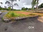 5 AND MORE CENT ORGINAL LAND IN KAKKANAD NEAR INFOPARK PHAS 2