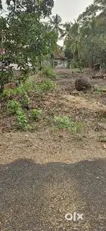 12 cent plot for sale