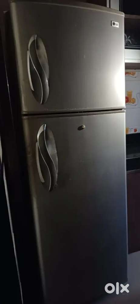 LG Fridge double door