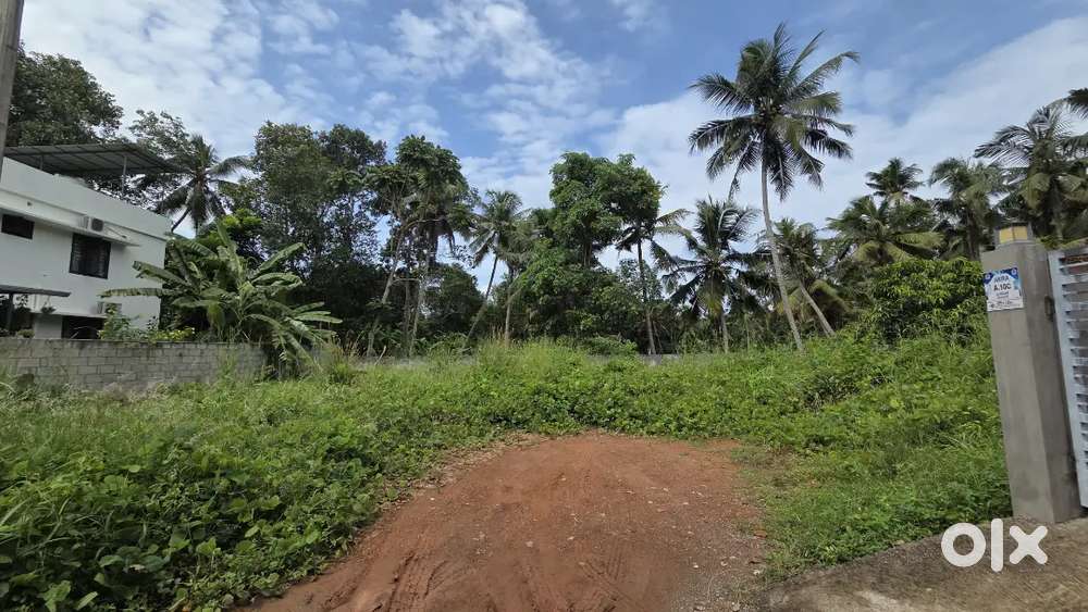 Kazakootam chenkotukonm main road near 10 cent plot