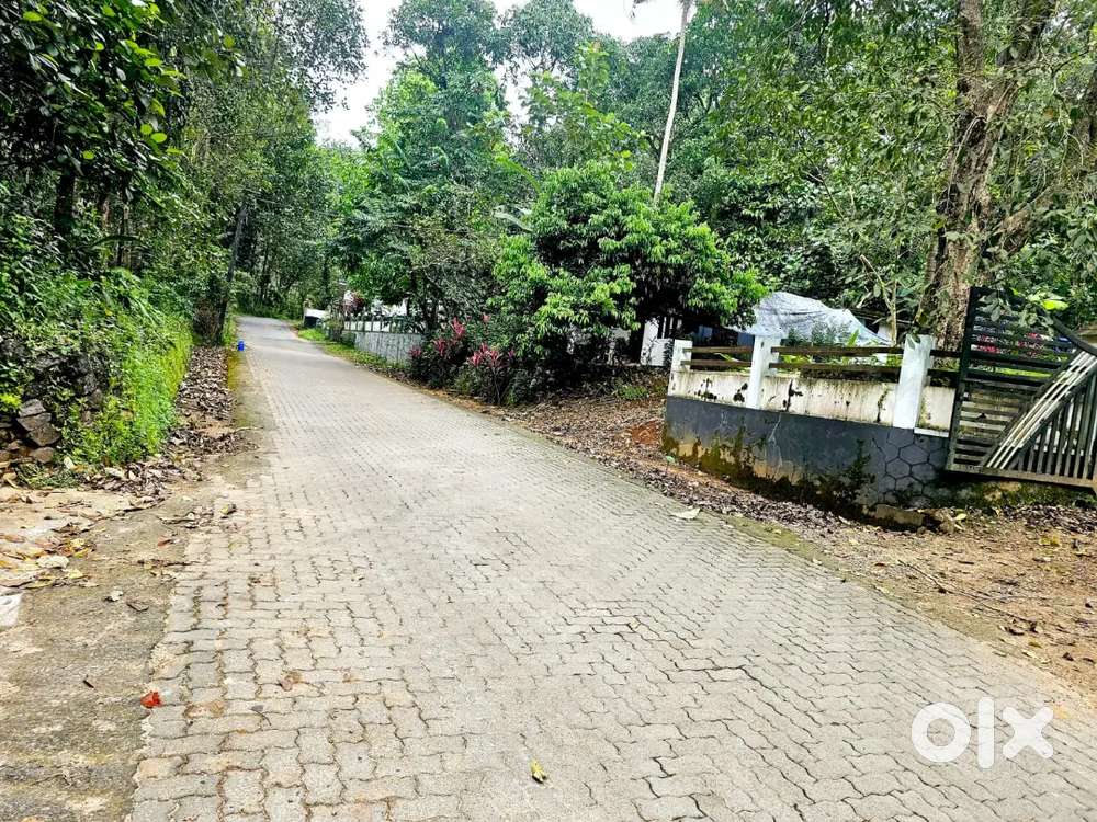 25 സെൻറ് പ്ലോട്ട്, ചിലവ് – റോഡ് സൈഡ്, വറ്റാത്ത കിണർ ഉൾപ്പെടെ