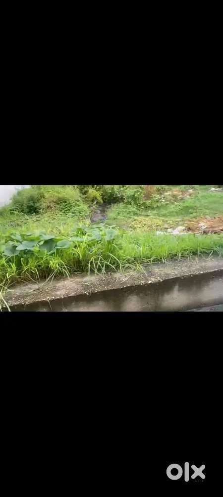 A commercial and residential plot for sale